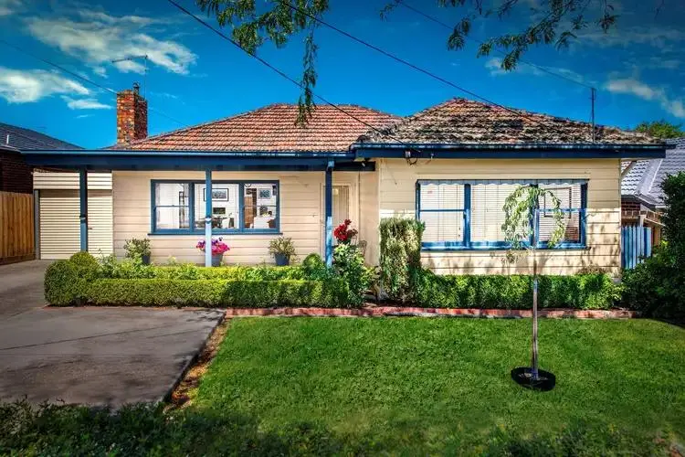 Charming suburban house with landscaped front yard.